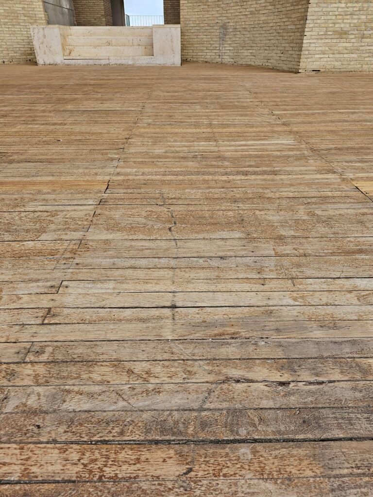 Rehabilitación del Teatro Romano de Sagunto