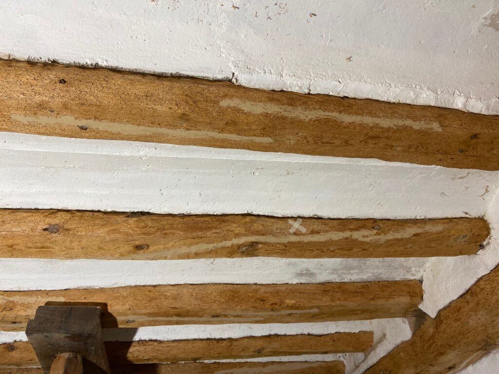 Restauración y Rehabilitación en el Histórico Molino de Bronchales