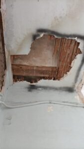 SOS Madera Análisis estructurales Valencia