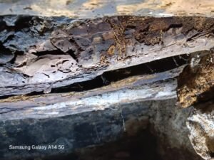 SOS Madera Valencia tratamientos para carcoma