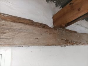 SOS Madera Análisis estructurales Valencia